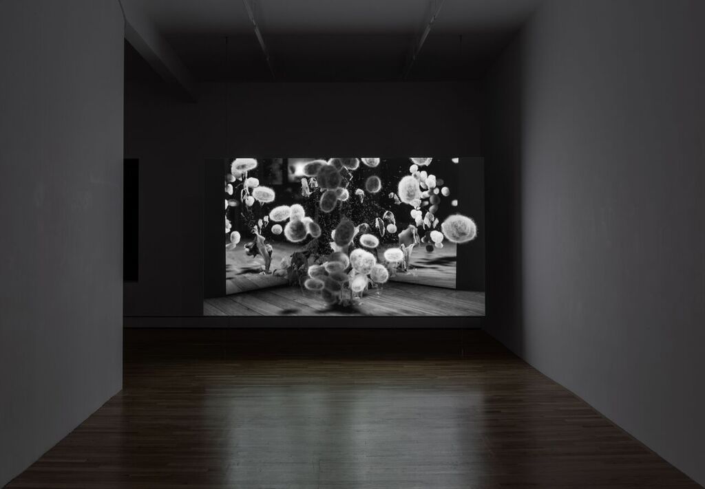Installation images courtesy of Matt Moravec (Off Vendome)