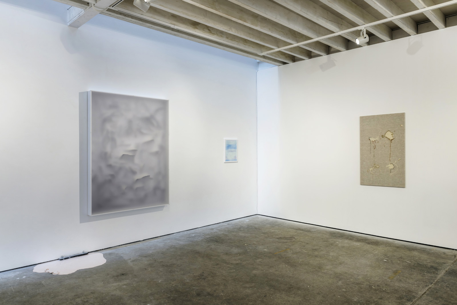 Skinscapes , 2017, installation view, Unit 1 Gallery | Workshop. All images courtesy of Paul Tucker.