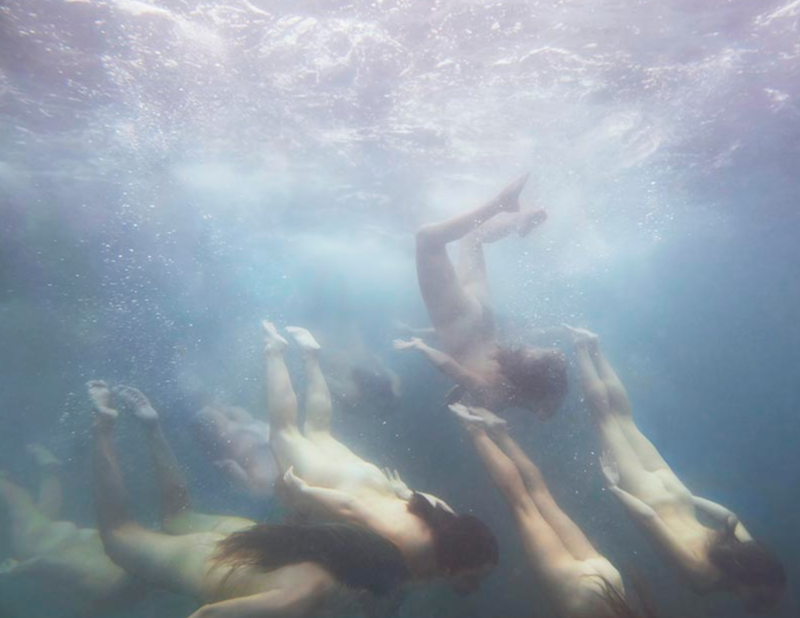 Tamara Dean Endangered 12a 2019, courtesy of Martin Browne Contemporary, Sydney, © Tamara Dean 2019.