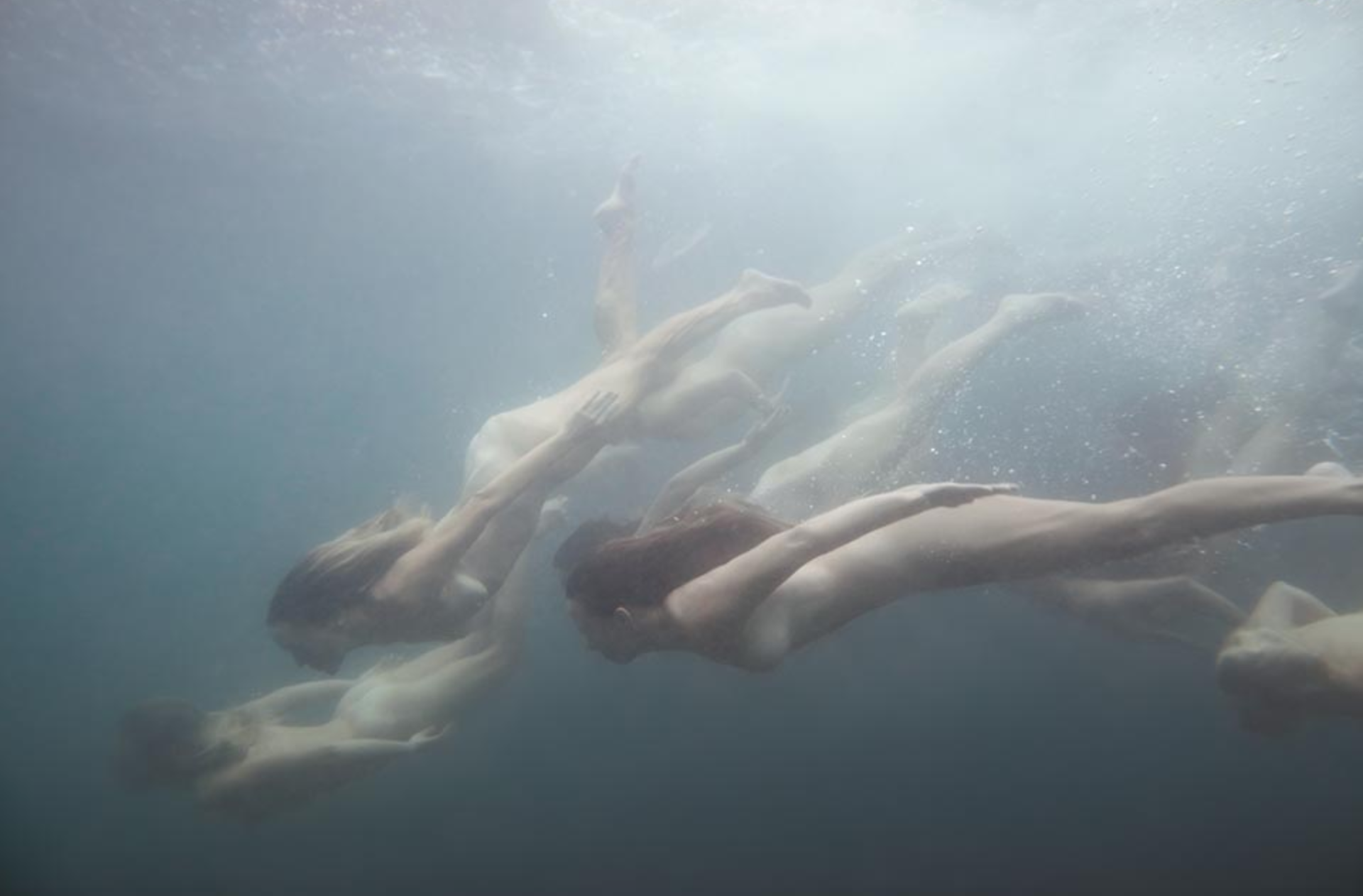 Tamara Dean Endangered 11b 2019, courtesy of Martin Browne Contemporary, Sydney, © Tamara Dean 2019.