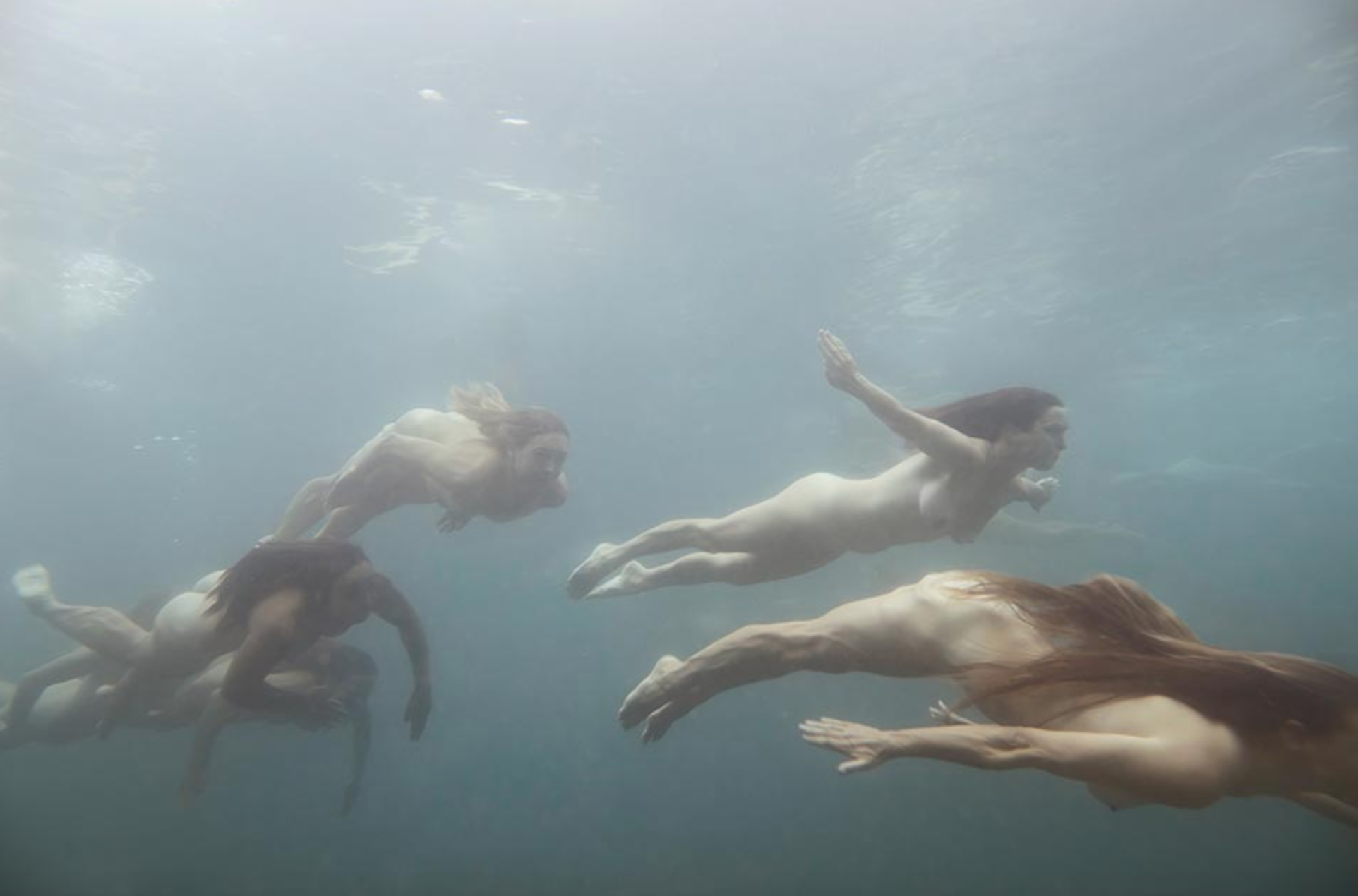 Tamara Dean Endangered 10c 2019, courtesy of Martin Browne Contemporary, Sydney, © Tamara Dean 2019.