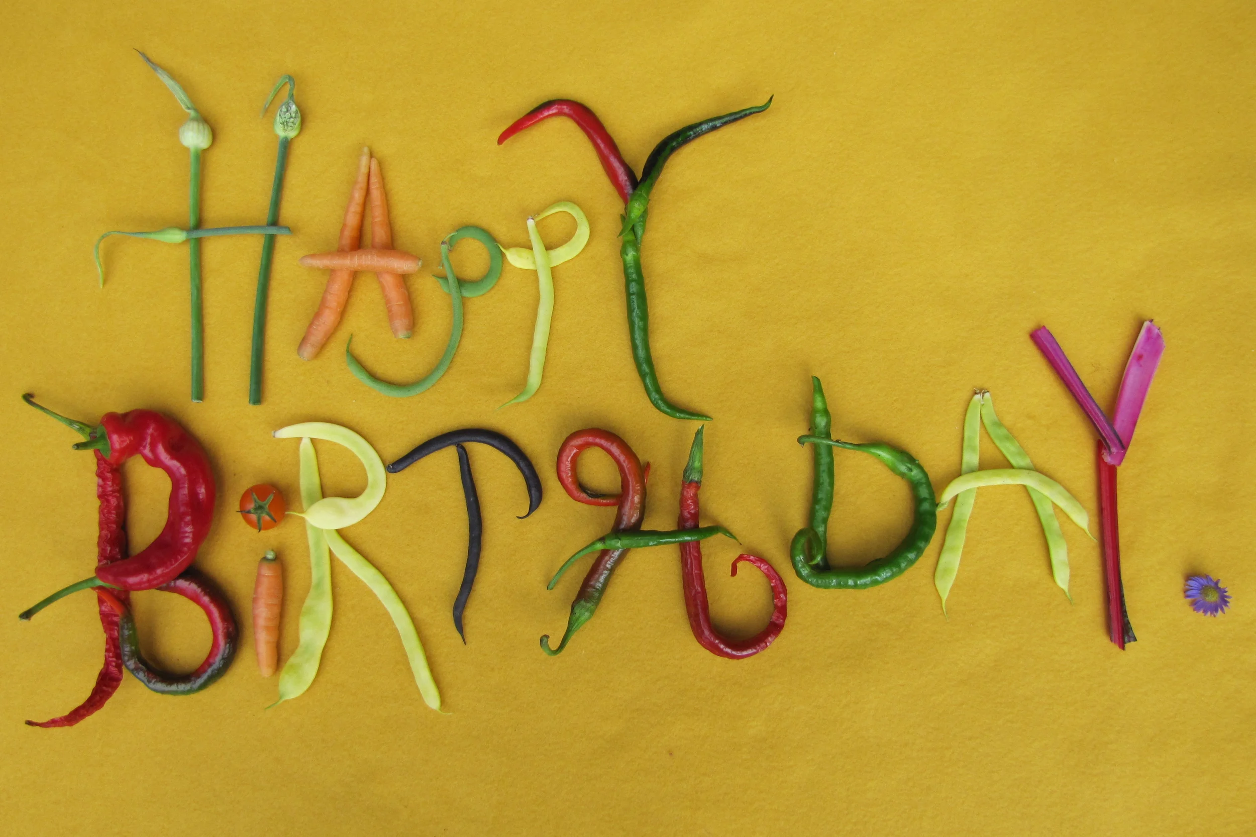 hap-pea bday_3_2PR.jpg