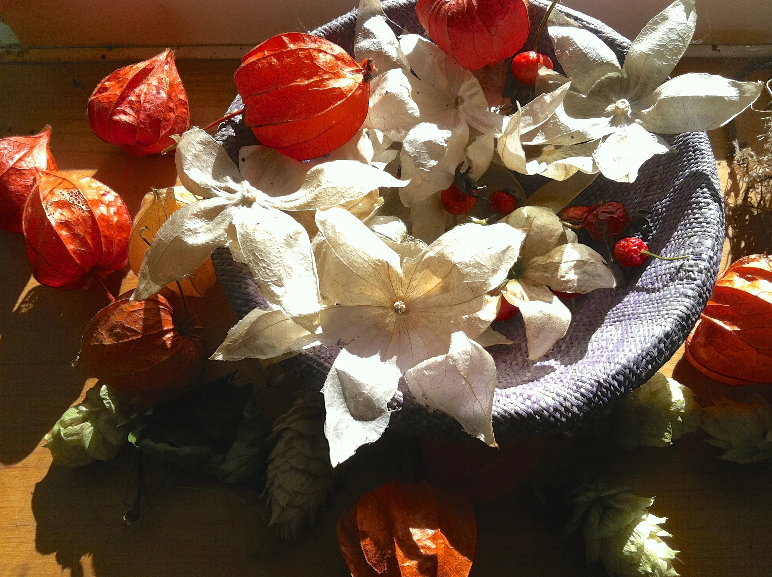 Fall gleanings to feed my inner child