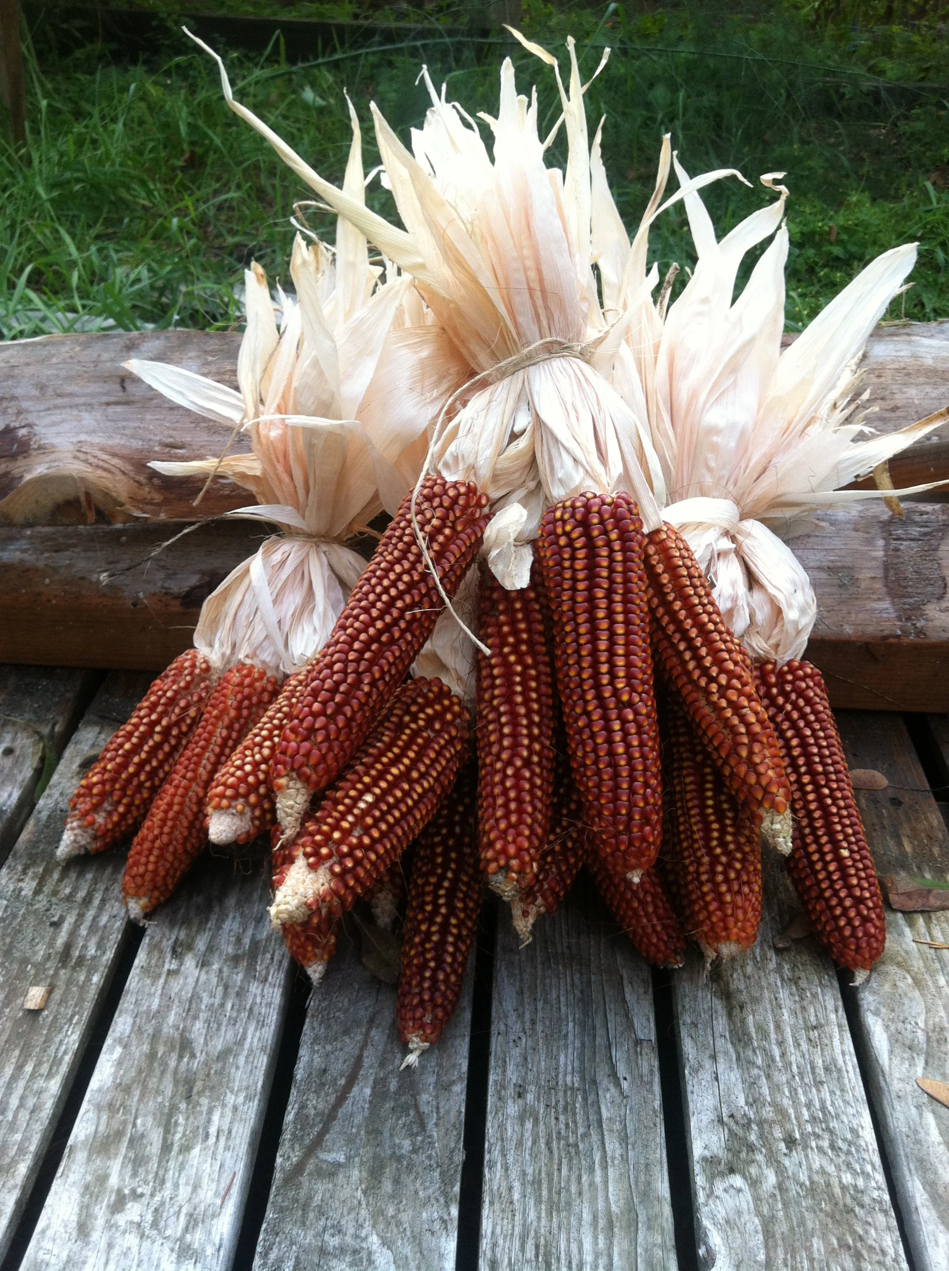 Floriani Red Flint