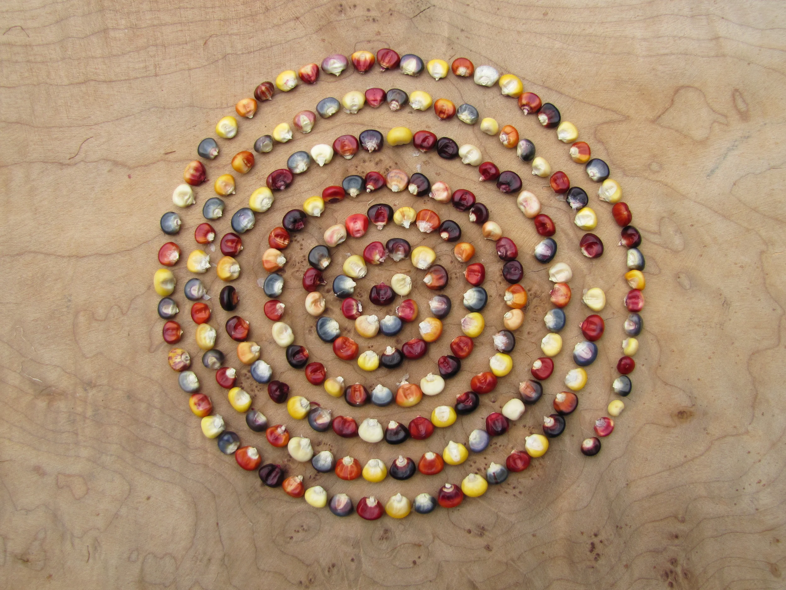 Please visit our retail shop on Etsy