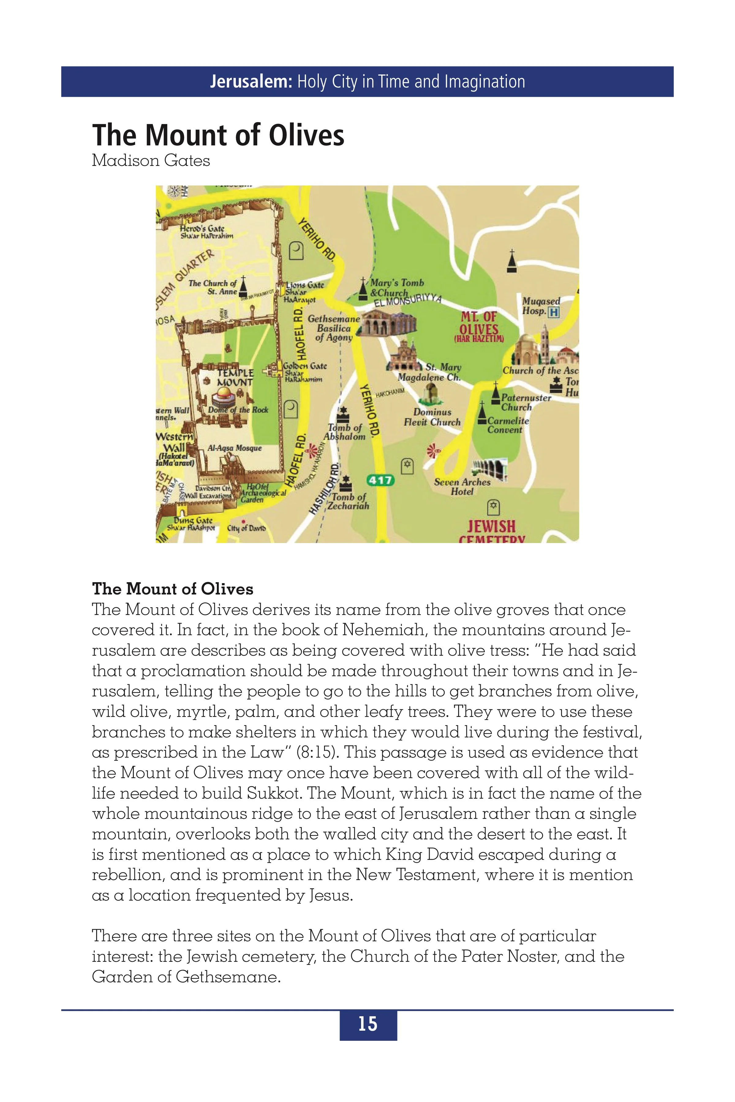 Rice Jerusalum Travel Book final-019.jpg