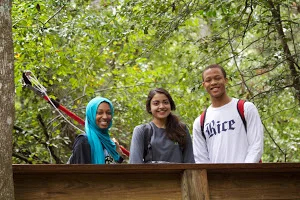Three students smiling in the woods.
