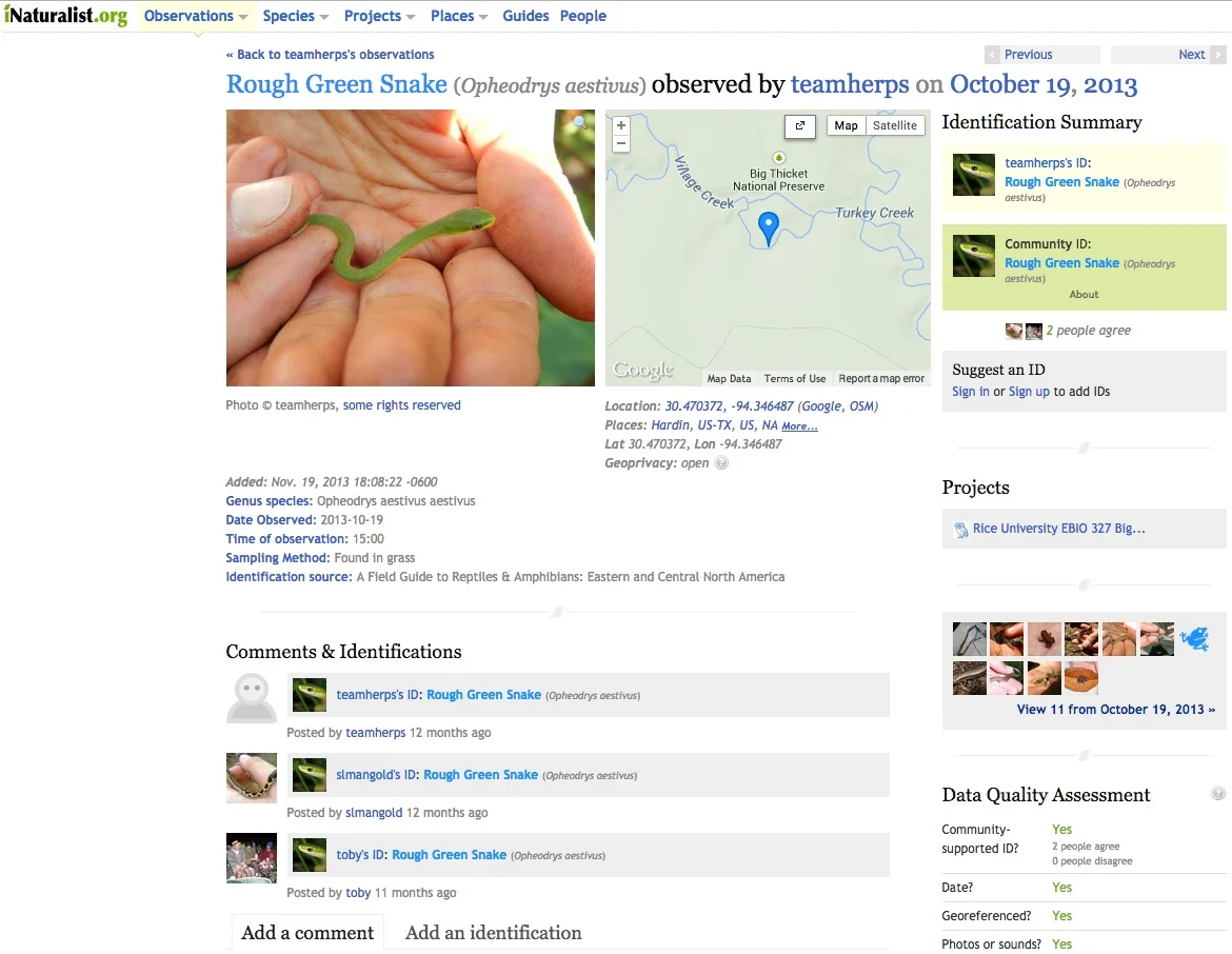 Screenshot of the Naturalist.org website submission.