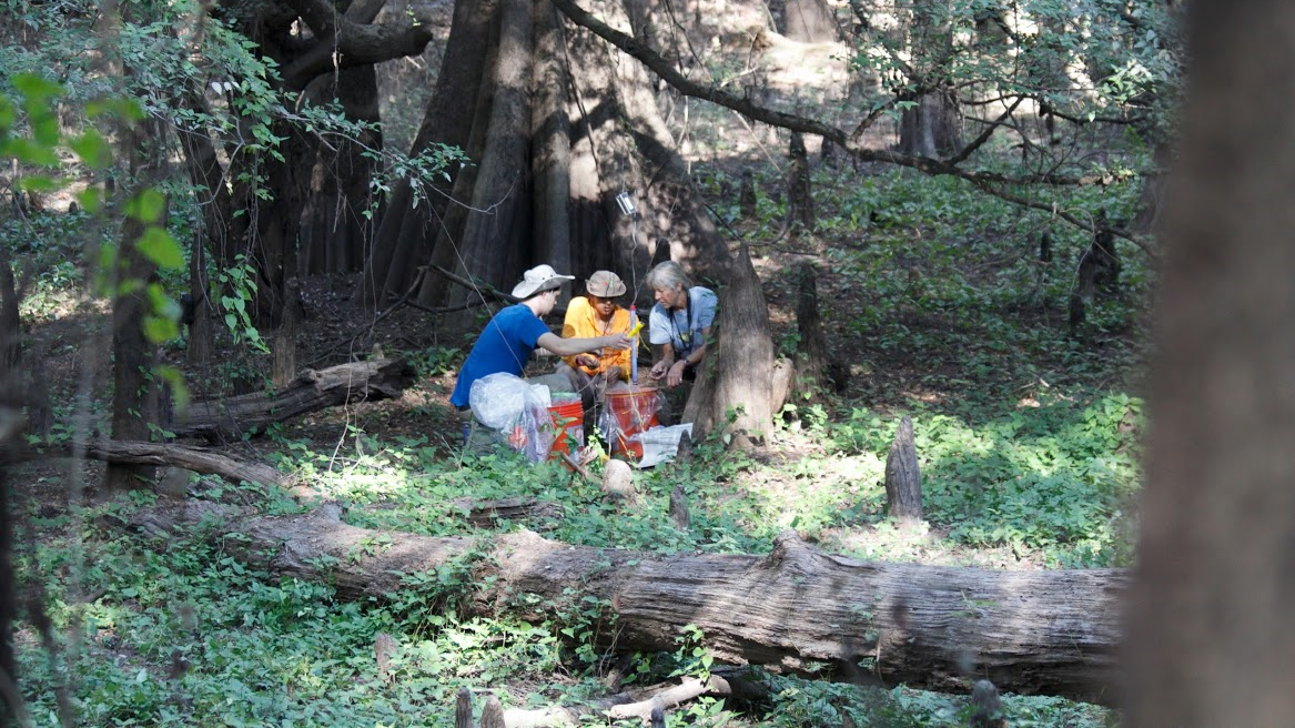 Students collecting data in the field.