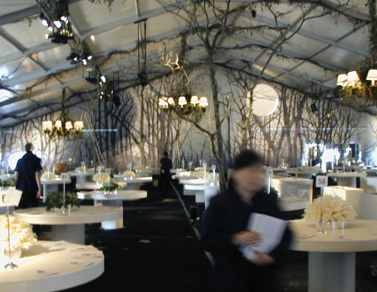 Metropolitan Opera_Landscape Mural 