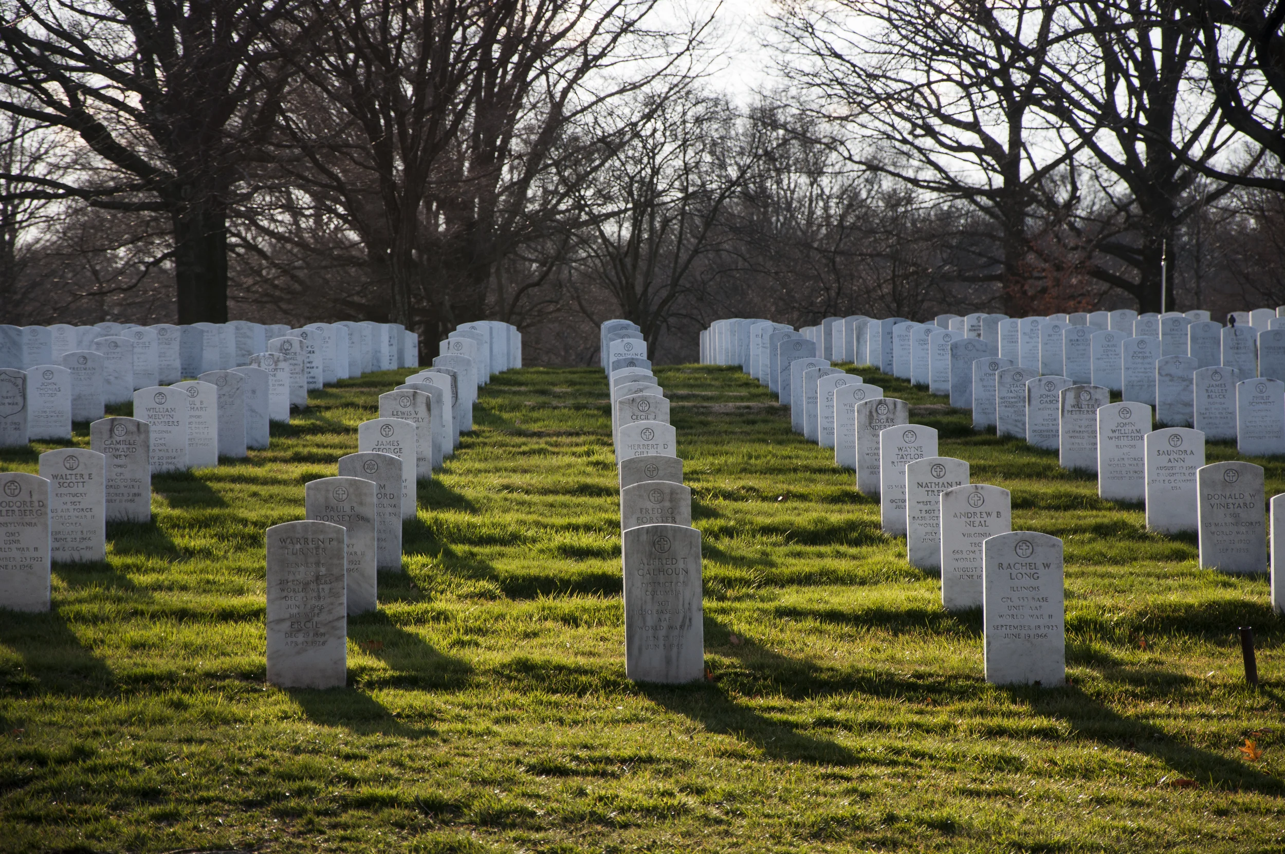 DSC_3614.jpg