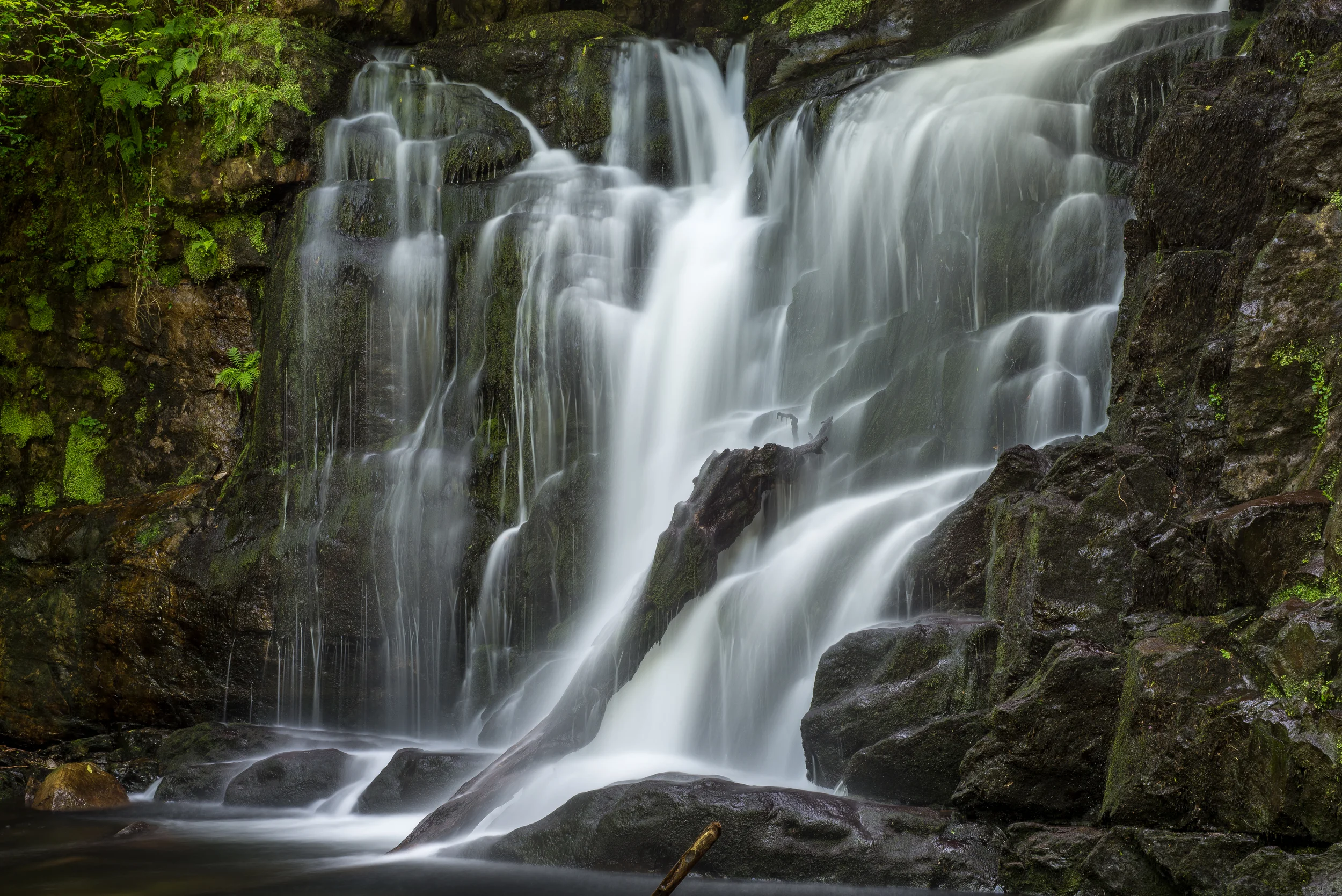 _DSC2609.jpg