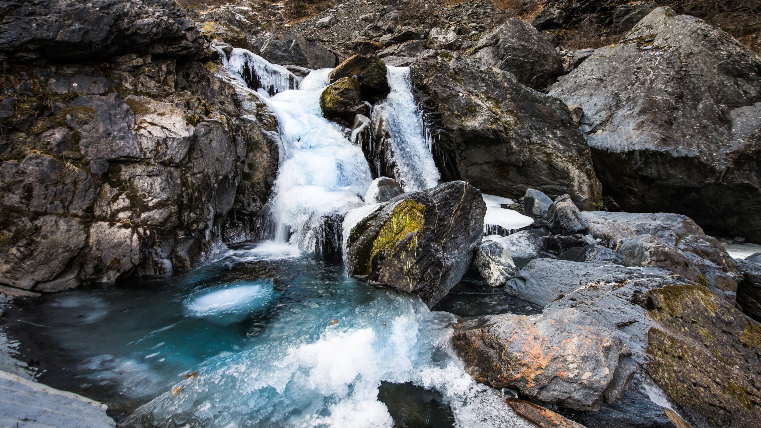 DSC_2361.jpg