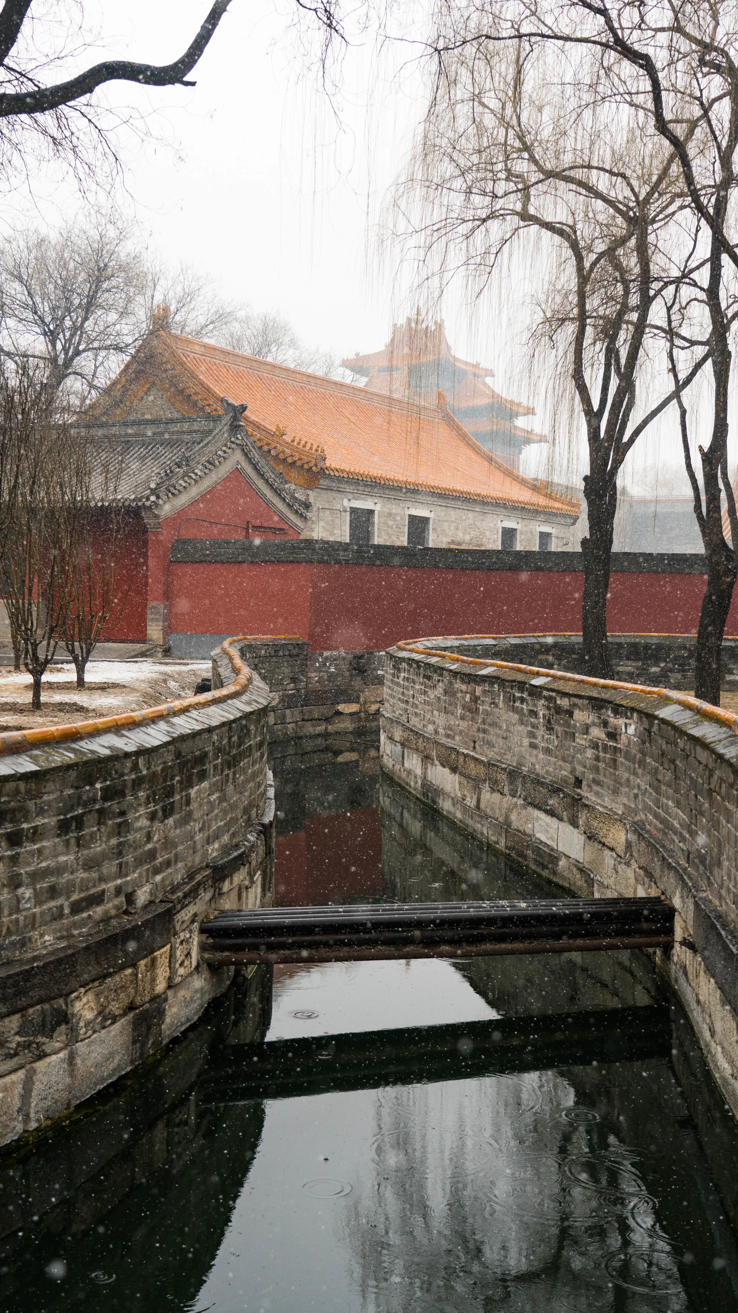 China_dt_web-5.jpg
