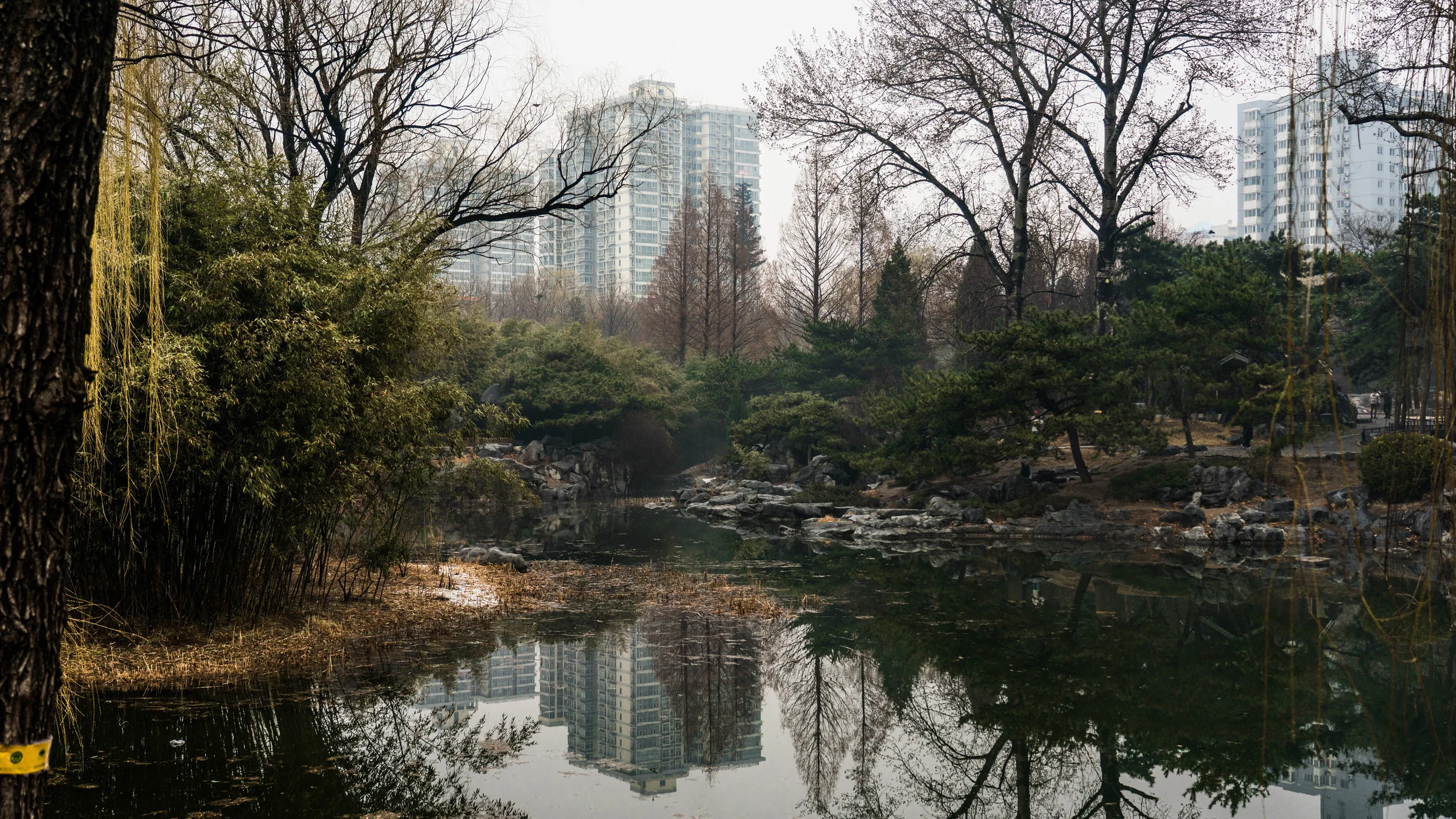 China_dt_web-7.jpg