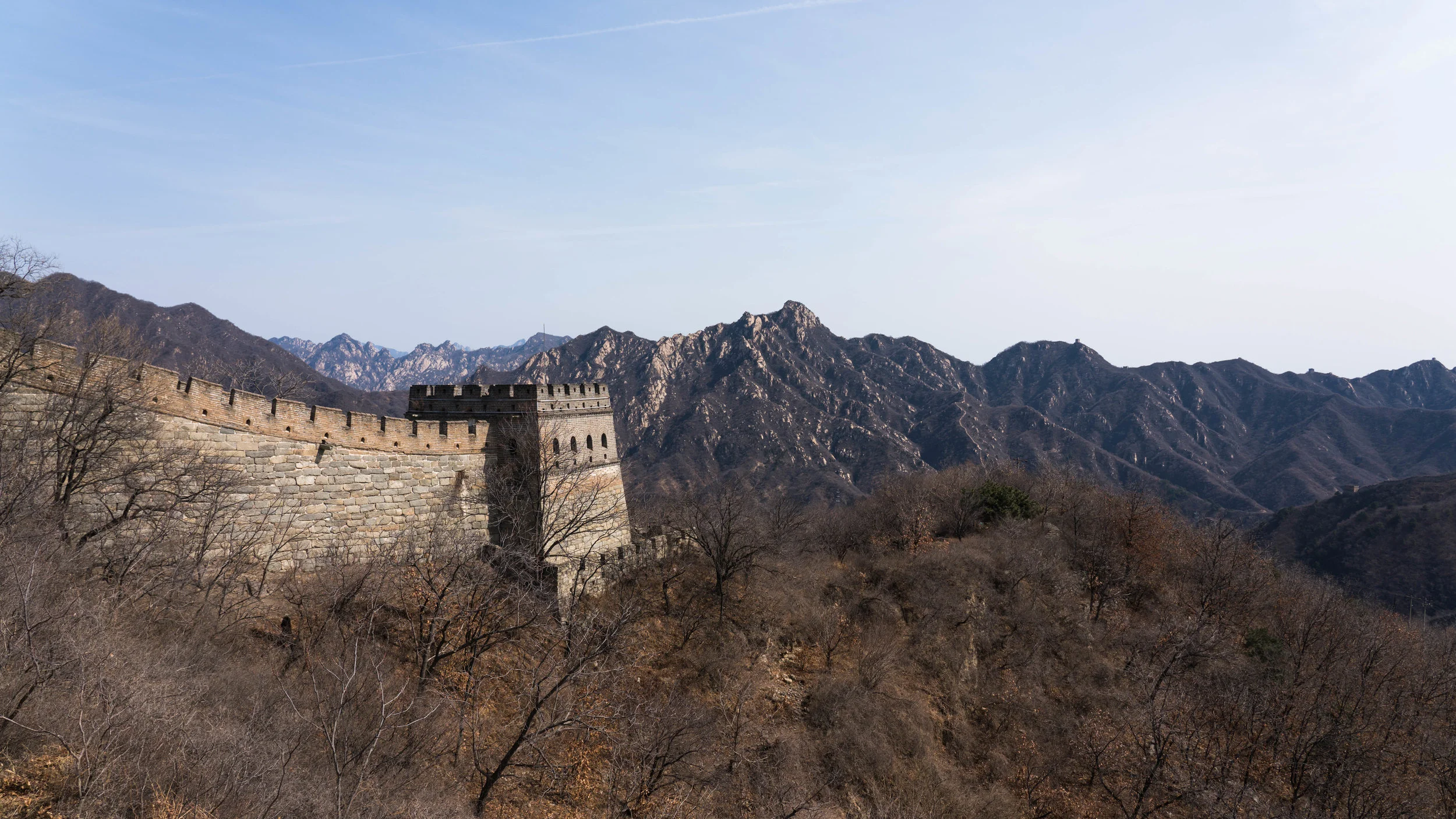 China_dt_web-11.jpg
