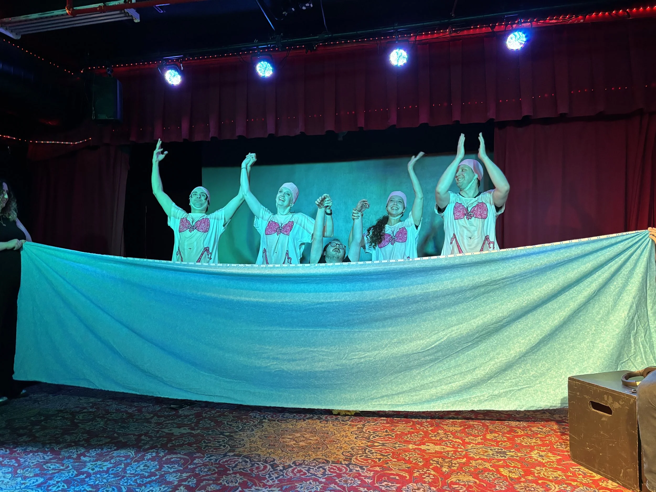 People on stage raising their hands in celebration, wearing costumes with pink bows. Stage has red curtains and is lit with blue spotlights. Audience area has patterned red and blue carpet.