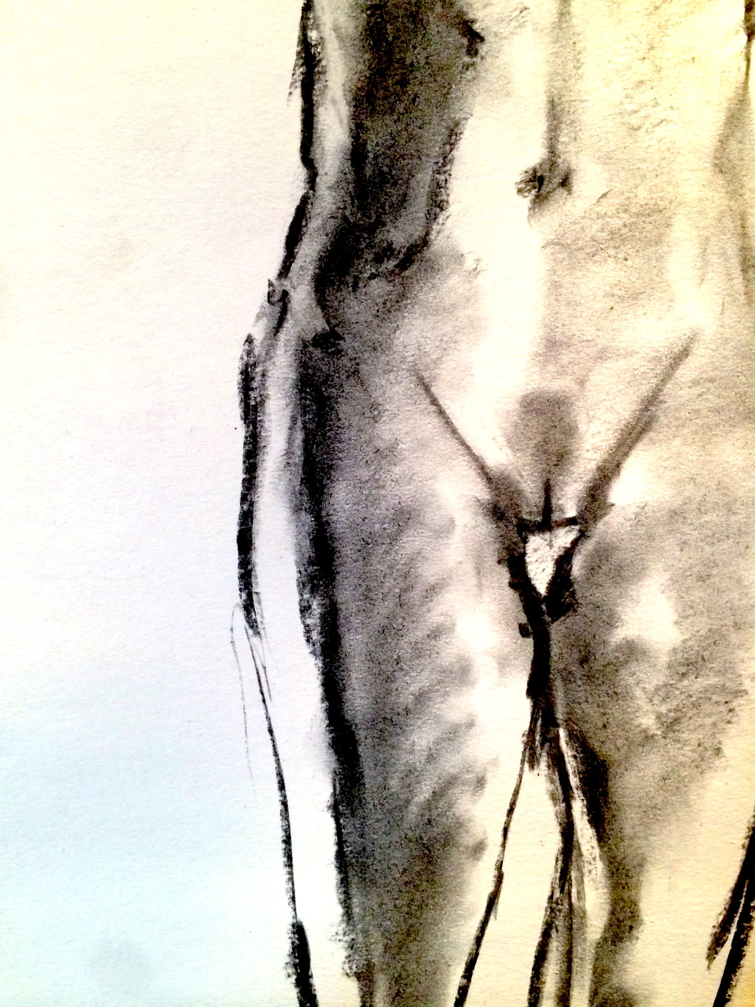 Labia etc. (2016)