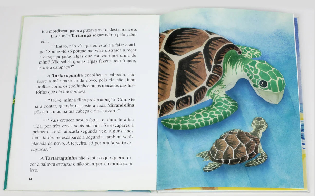 tartaruginha_02.jpg