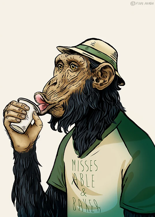 Hipster Monkeys Chimpanzee