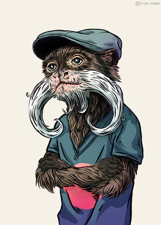 HipMonkeys_EmperorTamarin_Filipe Alcada