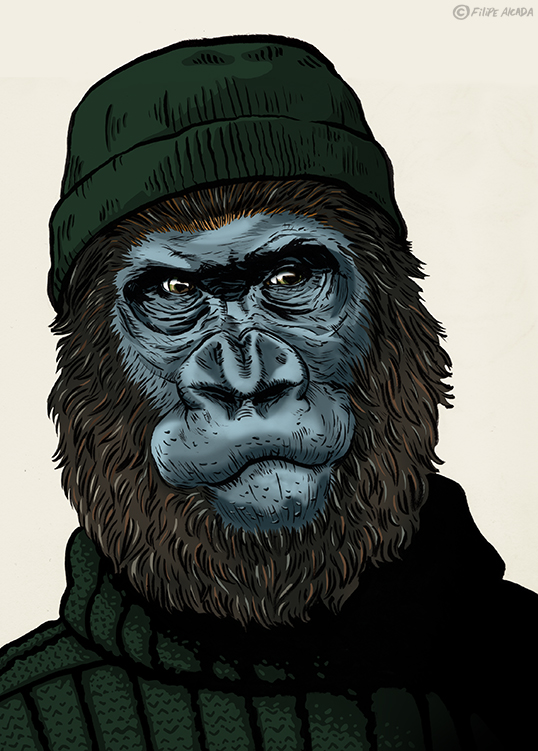HipMonkeys_LowlandGorilla_FilipeAlcada.jpg
