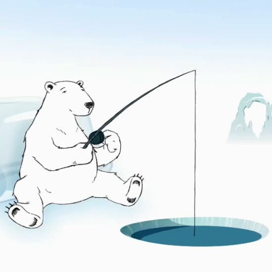 Fox Glacier Mints - Filipe Alcada.gif