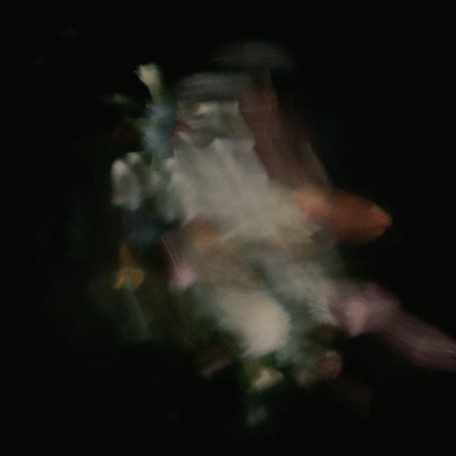 Nest-Filipe Alcada.gif