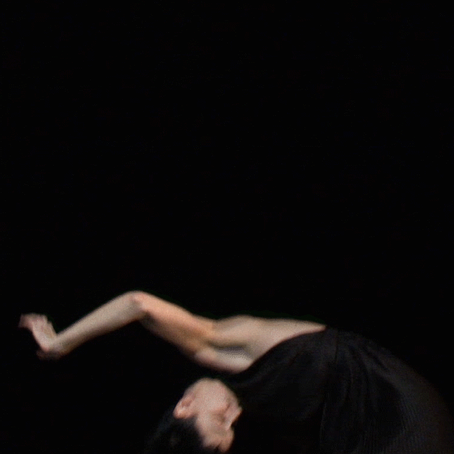 Witness Filipe Alcada.gif