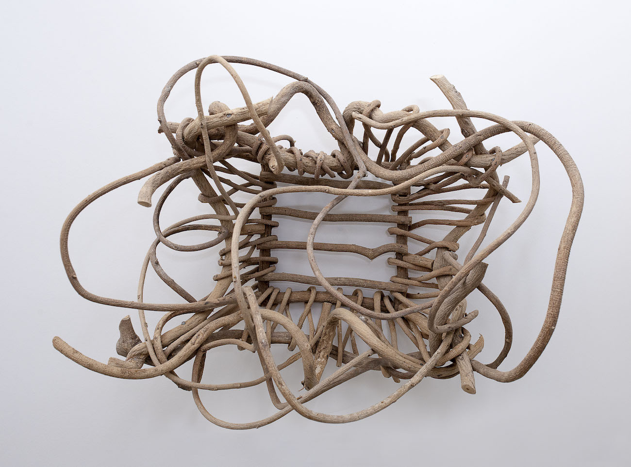 Kudzu basket (found) - Nell Gottlieb