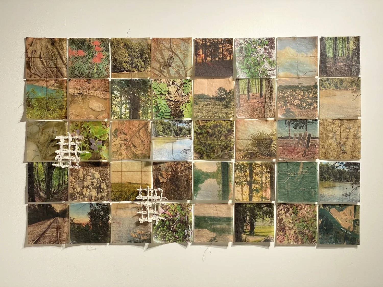 Entangled Spaces (Gridded)