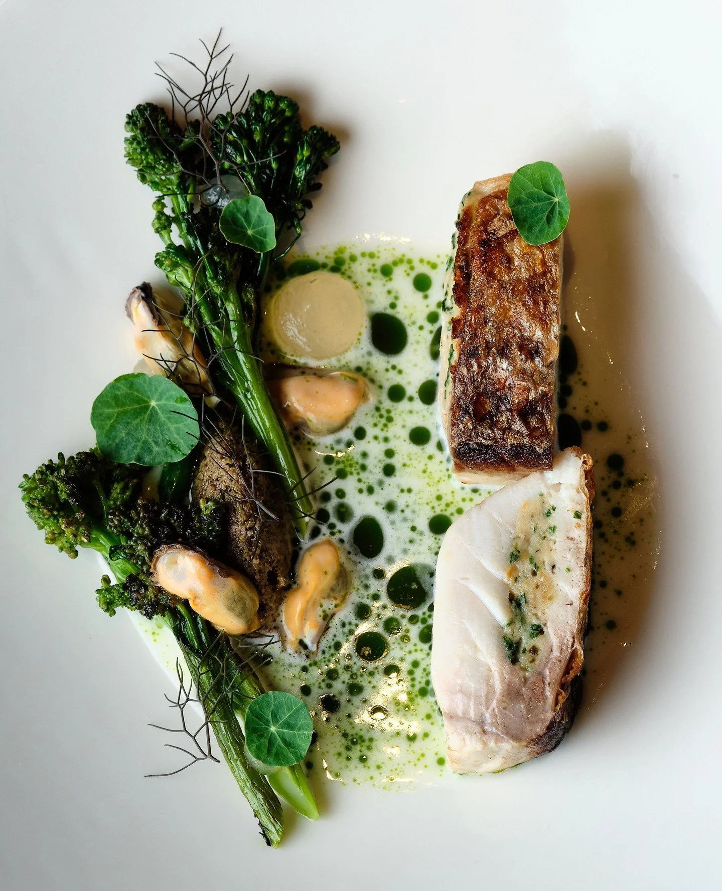 One of Executive Chef Austin's newest dishes has arrived. ✨⁠
⁠
Meet our crisp-skinned striped bass with mussels, charred broccolini and buttermilk fum&eacute;.⁠
⁠
Now on the menu.