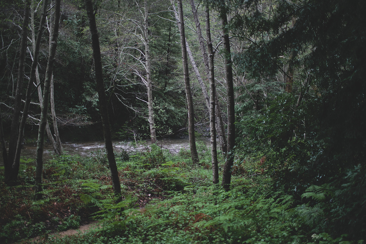 BigSur_0008.jpg