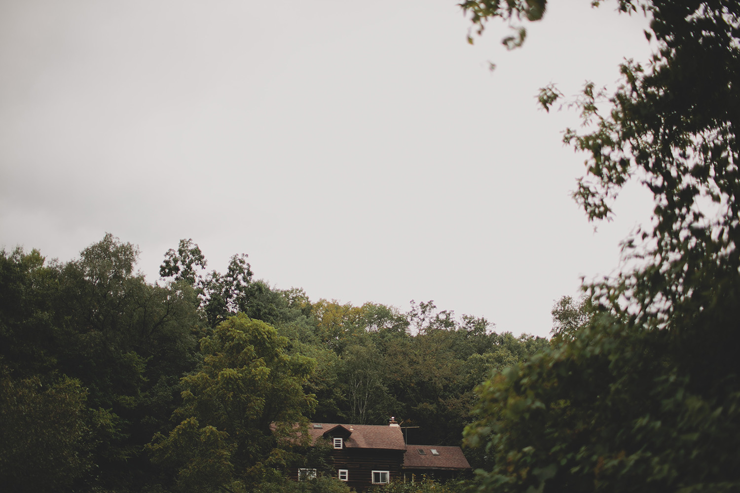 Aldo Leopold Nature Center Wedding _0001.jpg