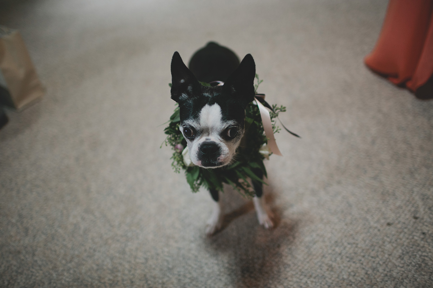 Aldo Leopold Nature Center Wedding _0022.jpg