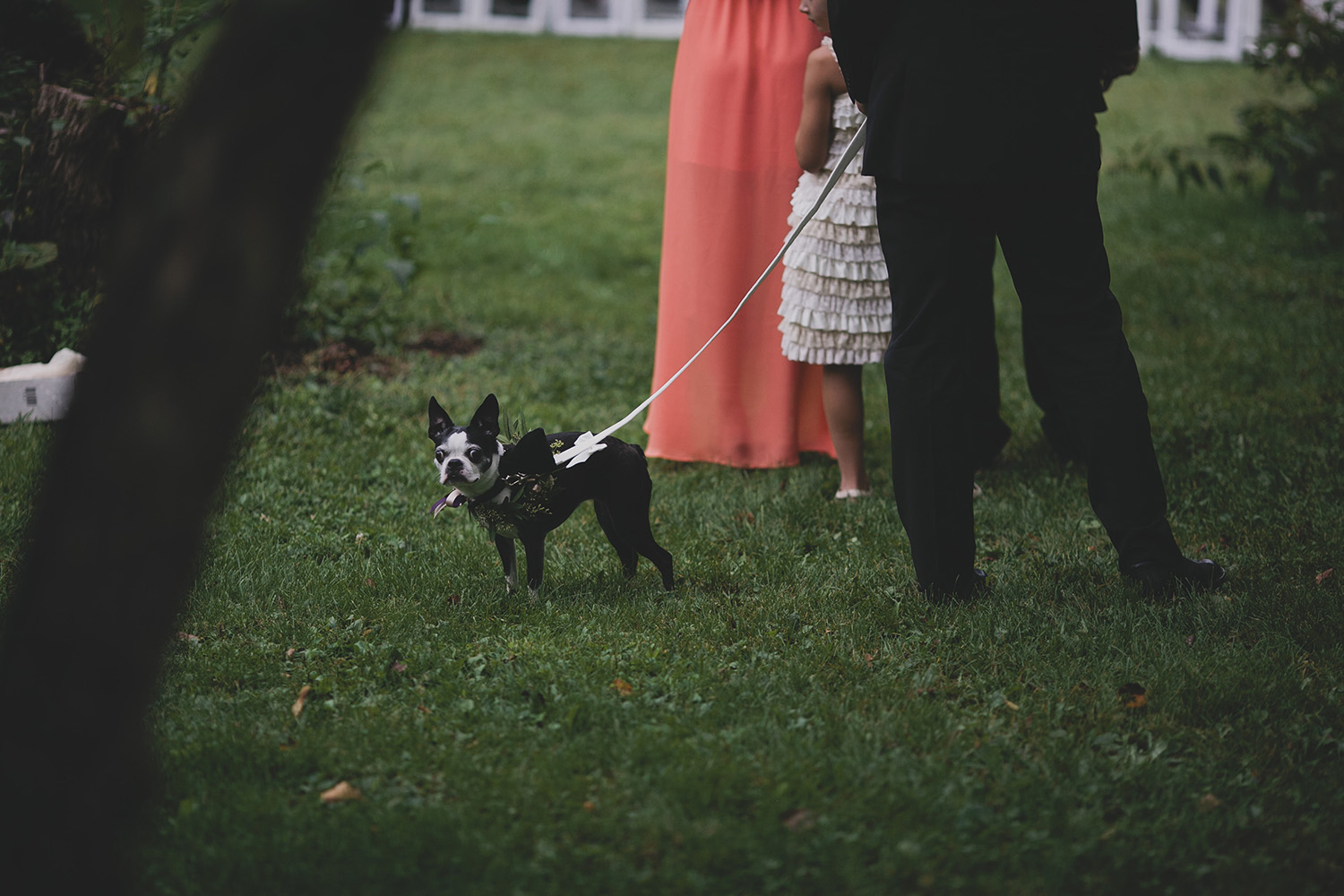 Aldo Leopold Nature Center Wedding _0059.jpg