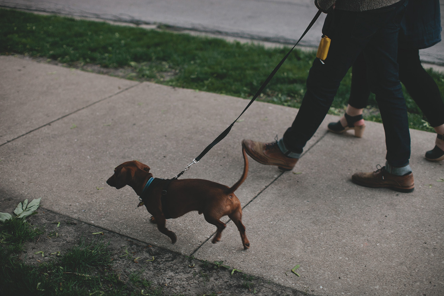 Chicago Engagement Photos_0035.jpg