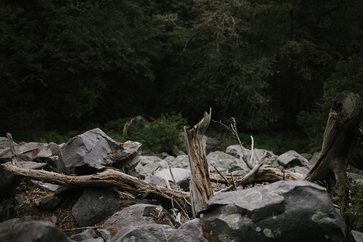 Devils Lake Engagement Photos011.jpg