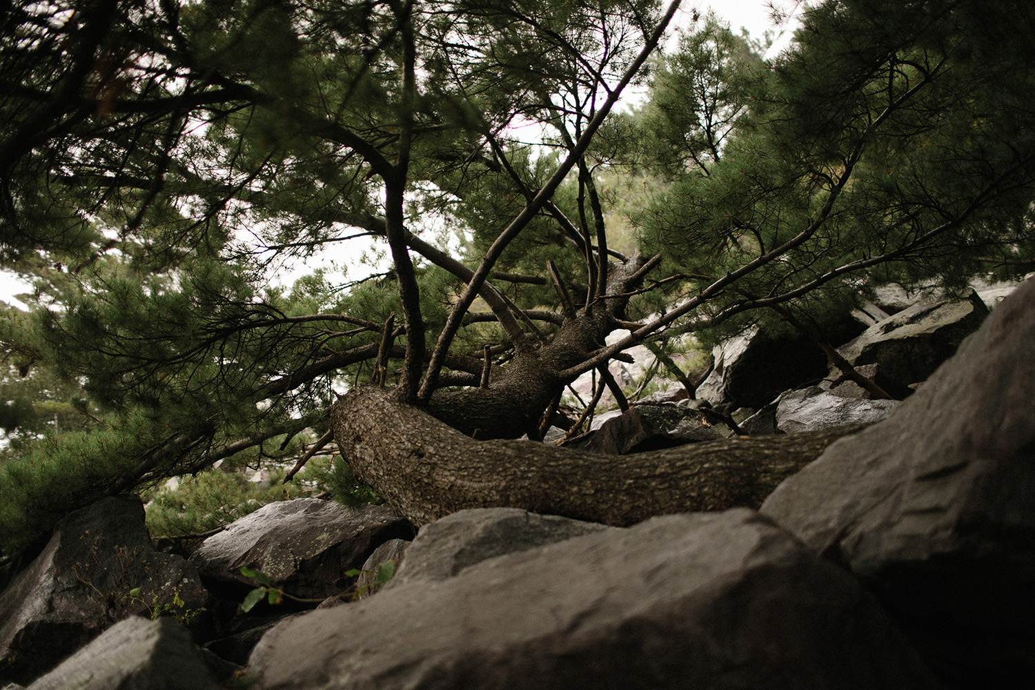 Devils Lake Engagement Photos013.jpg