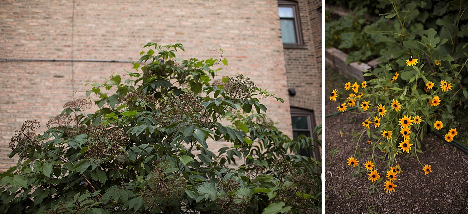 Chicago Elopement Photographer 048.jpg