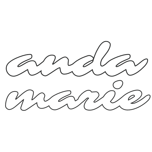 anda marie photography //  documentary wedding photographer serving wisconsin milwaukee madison chicago 