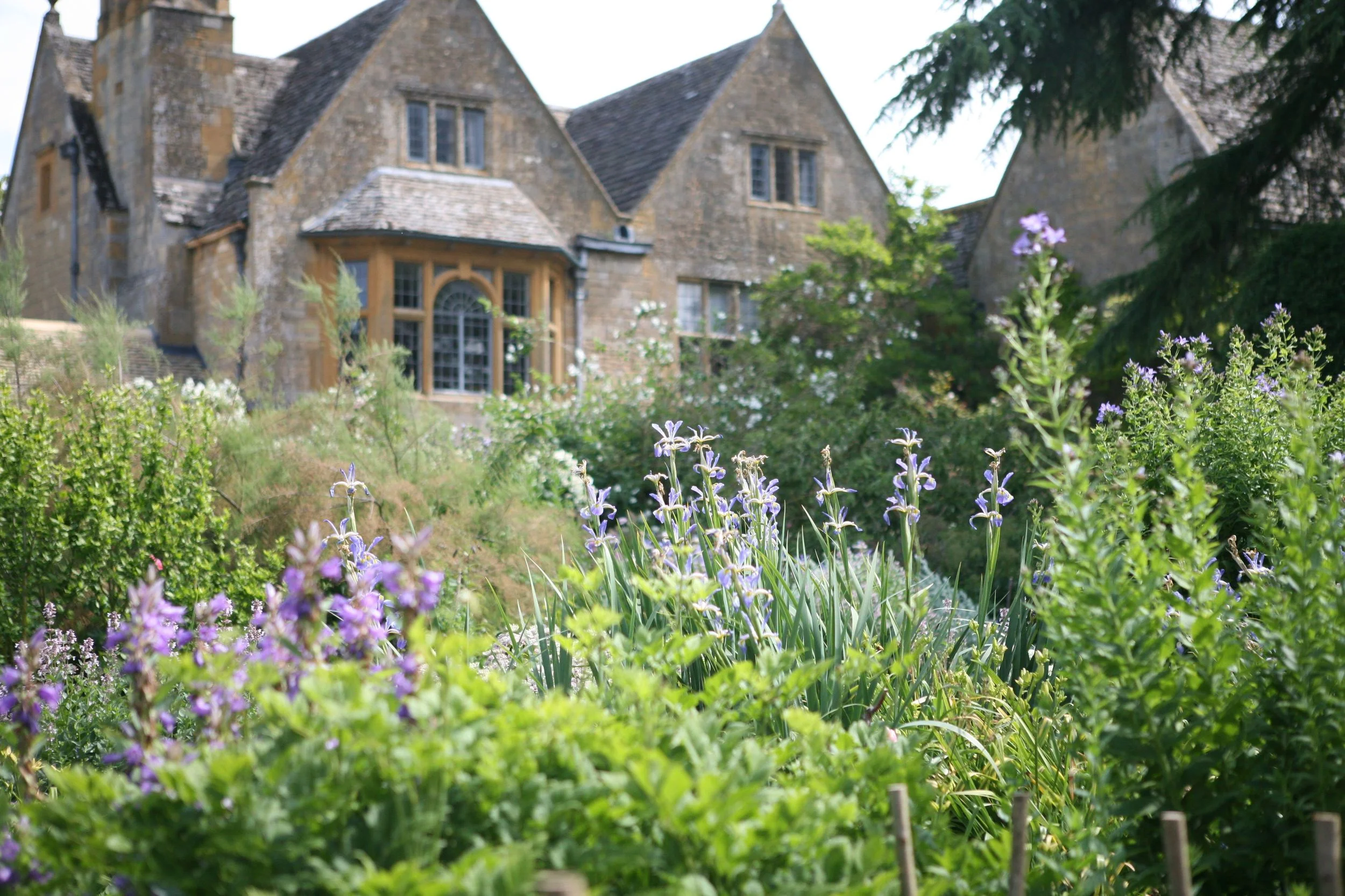 This view of an arts and crafts garden show the house being embraced by the plantings. Though carefully planned and maintained, the result looks romantic and carefree. Hidcote , Gloucestershire, UK. 1920's.