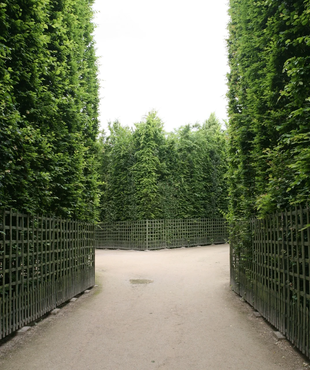 Hard on the outside, soft on the inside