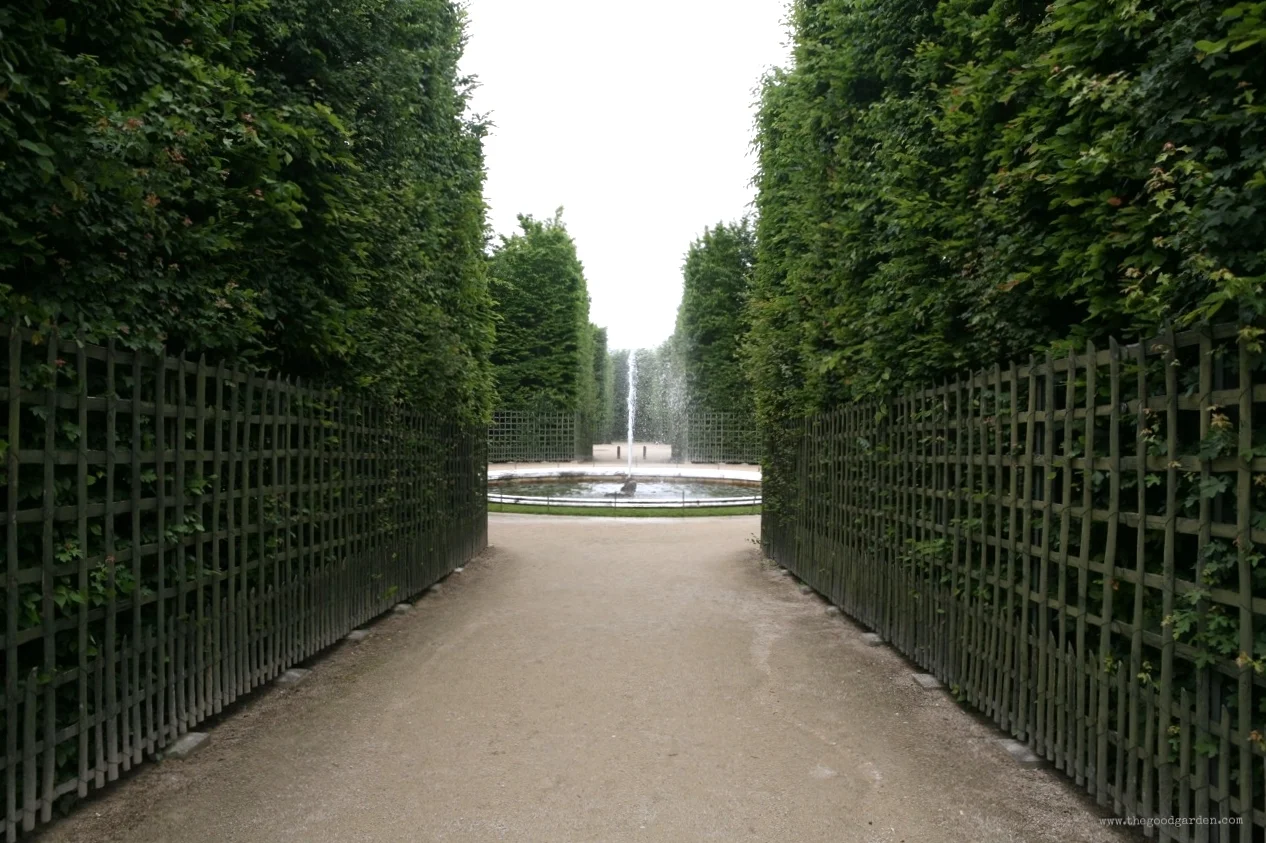 thegoodgarden|Versailles|formal|8086.jpg