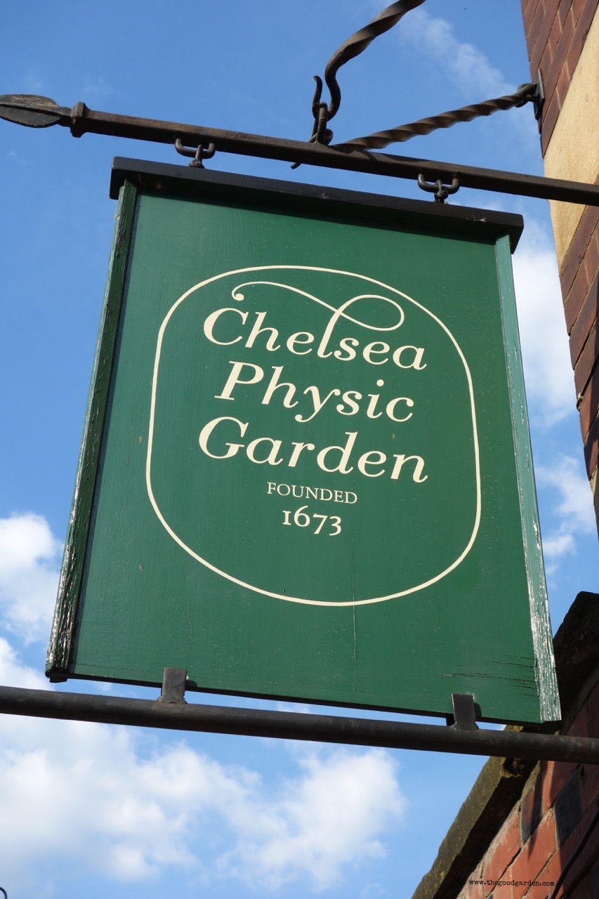 thegoodgarden|chelseaphysic|london|2927.jpg