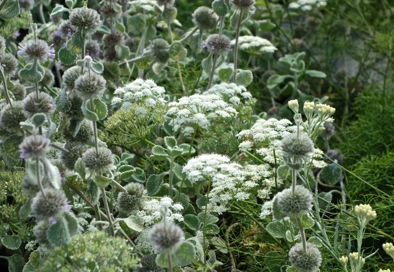 Ghostly combinations