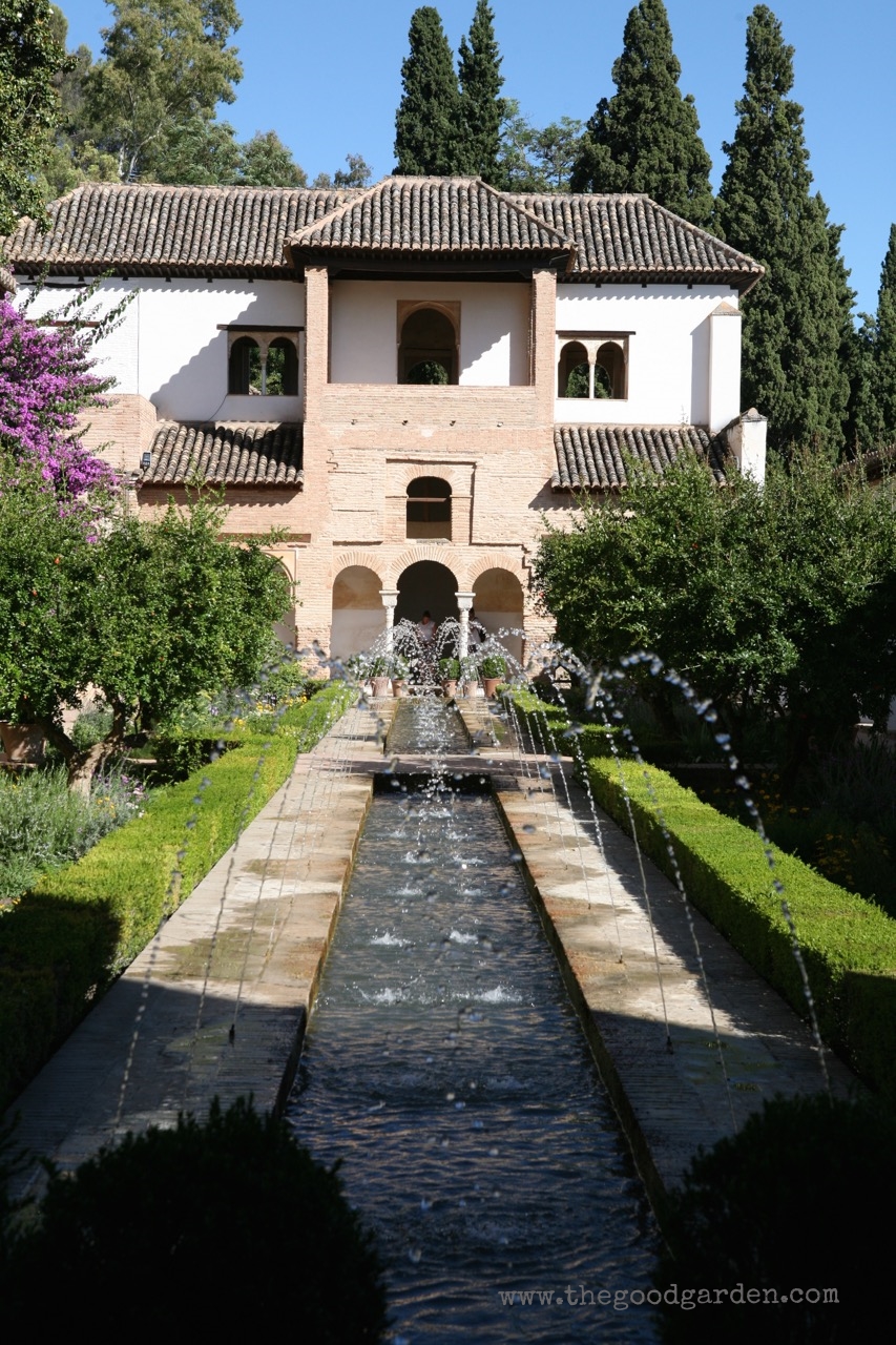 In search of paradise