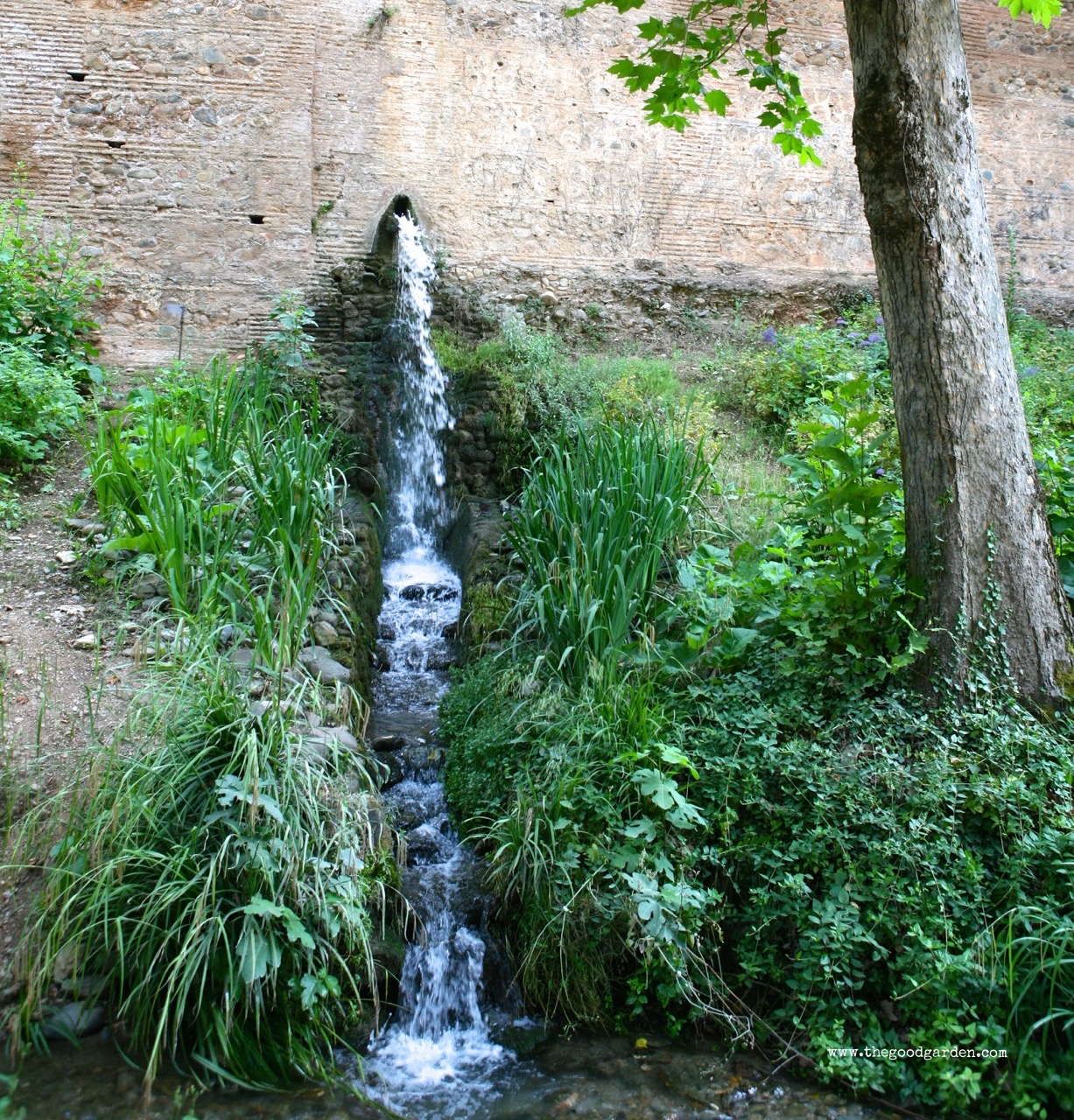 thegoodgarden|alhambra|walls|8595.jpg