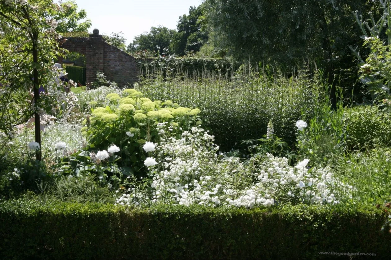 The white garden