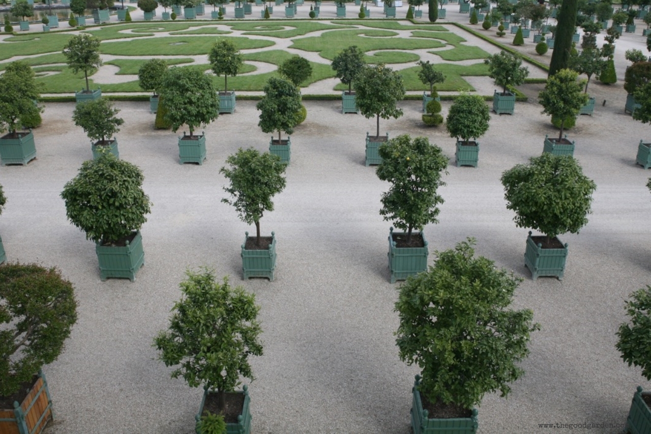 thegoodgarden|Versailles|formal|8760.jpg
